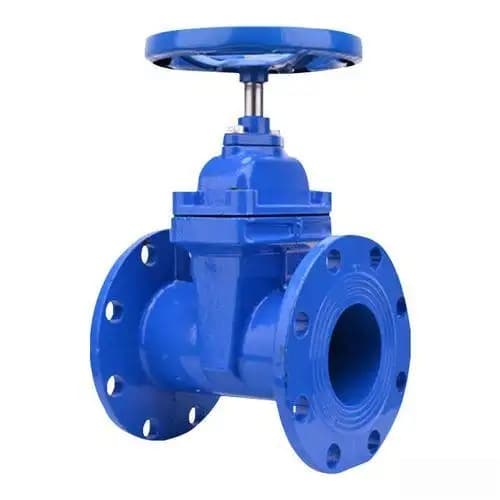 Ductile Iron Gate Valve