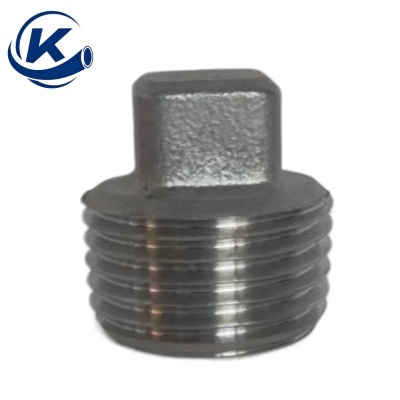 Stainless Steel Plug