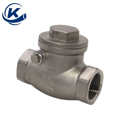 Stainless Steel Swing Check Valve