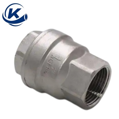 Stainless Steel Vertical Check Valve