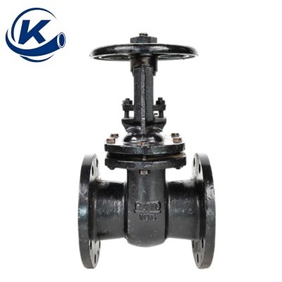 Cast Iron Gate Valve Z44T